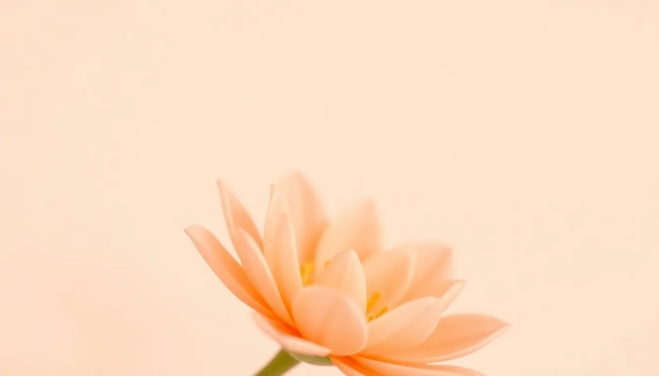 Ava - Meaning, Origin, and Chinese Name Pairings