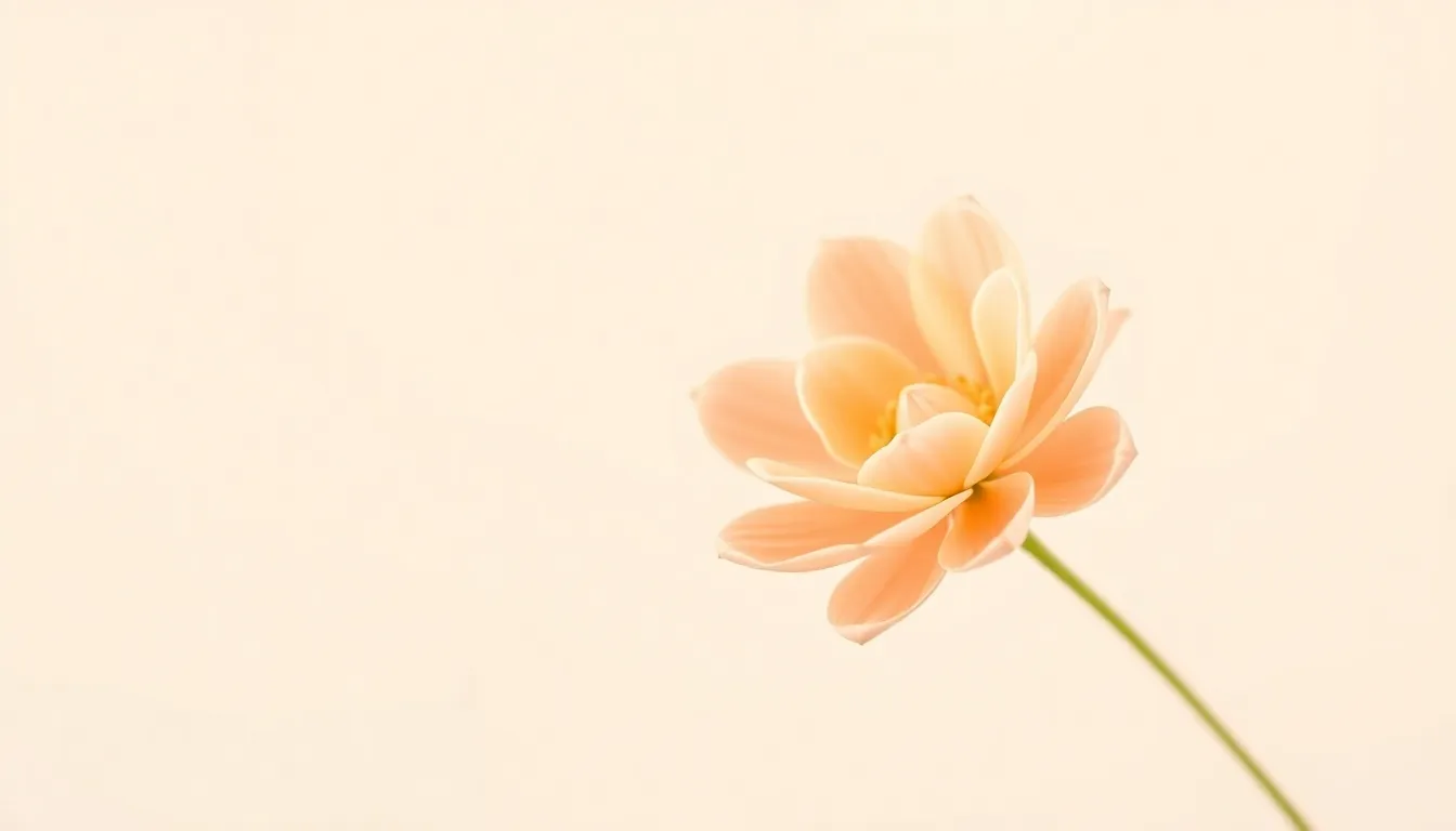 David - Meaning, Origin, and Chinese Name Pairings