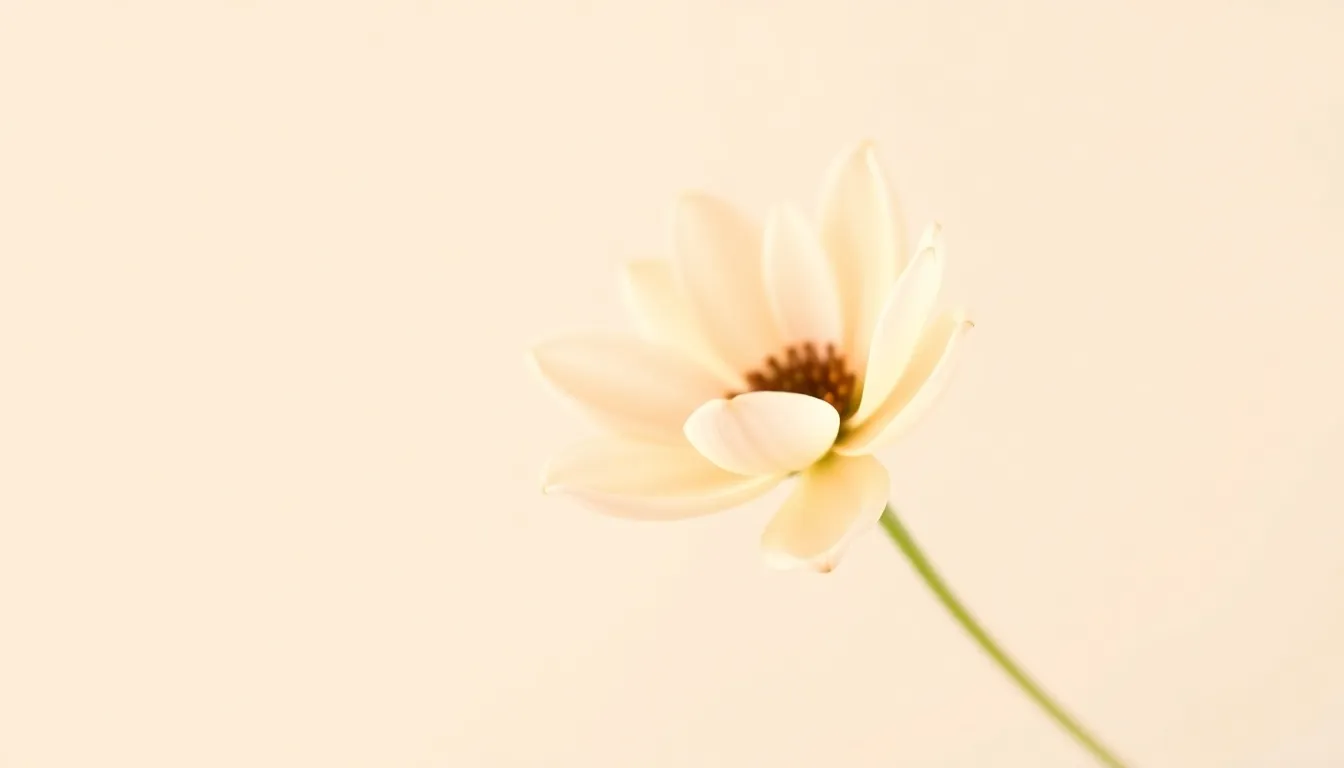 Emma - Meaning, Origin, and Chinese Name Pairings